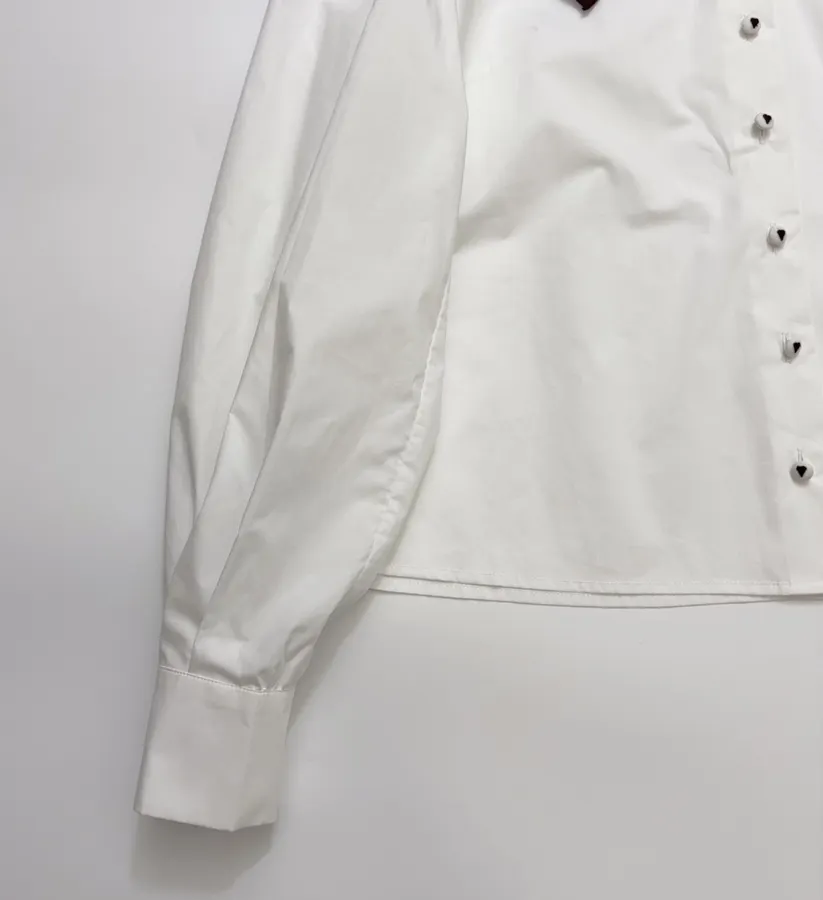 Embroidered Turn-Down Collar White Shirt in White, product view 08