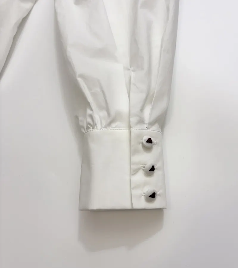 Embroidered Turn-Down Collar White Shirt in White, product view 13