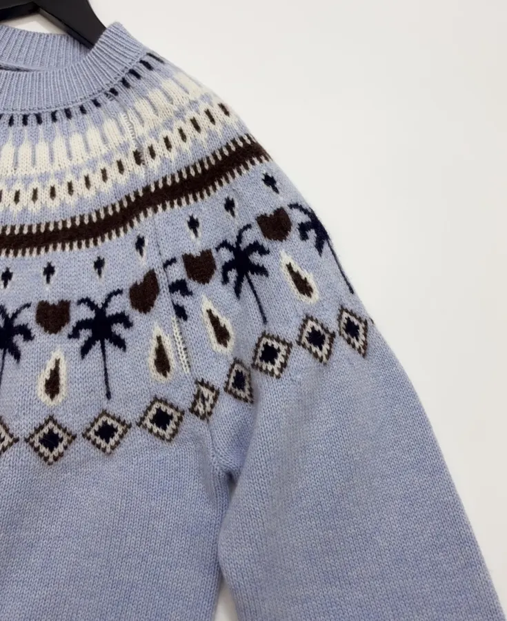Light Blue Fair Isle Crew-Neck Sweater in Light Blue, product view 05