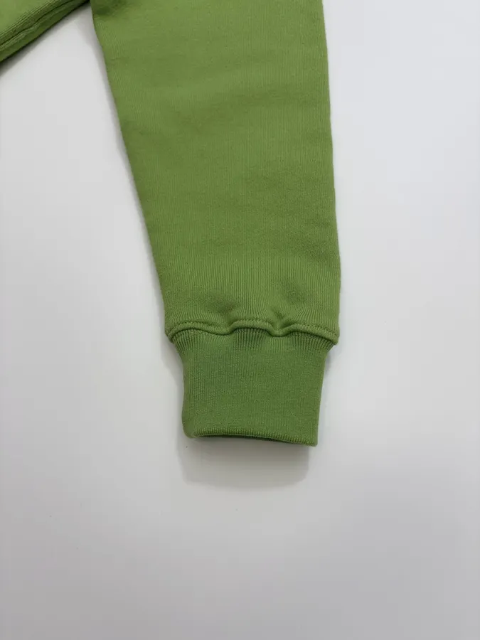 Polo Ralph Lauren Green Collared Pullover Sweatshirt in Green, product view 06
