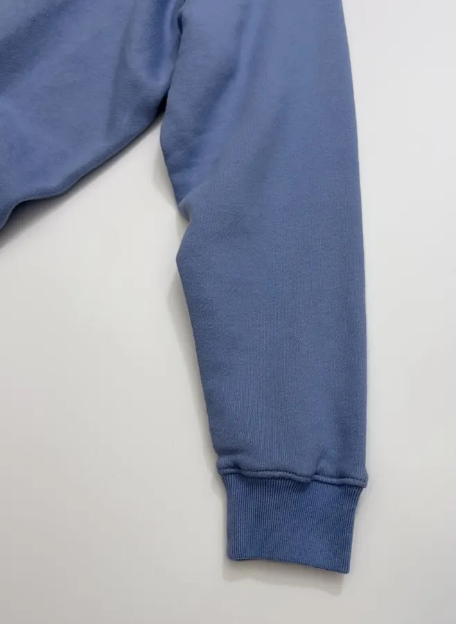Polo Ralph Lauren Blue Collared Pullover Sweatshirt in Blue, product view 05