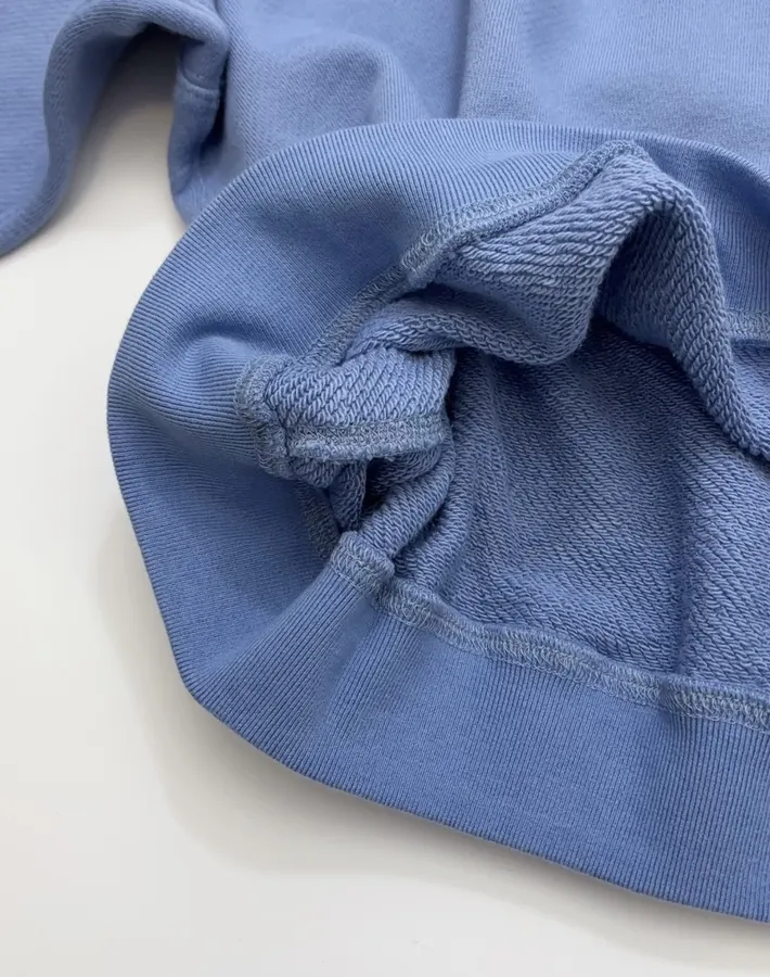 Polo Ralph Lauren Blue Collared Pullover Sweatshirt in Blue, product view 10