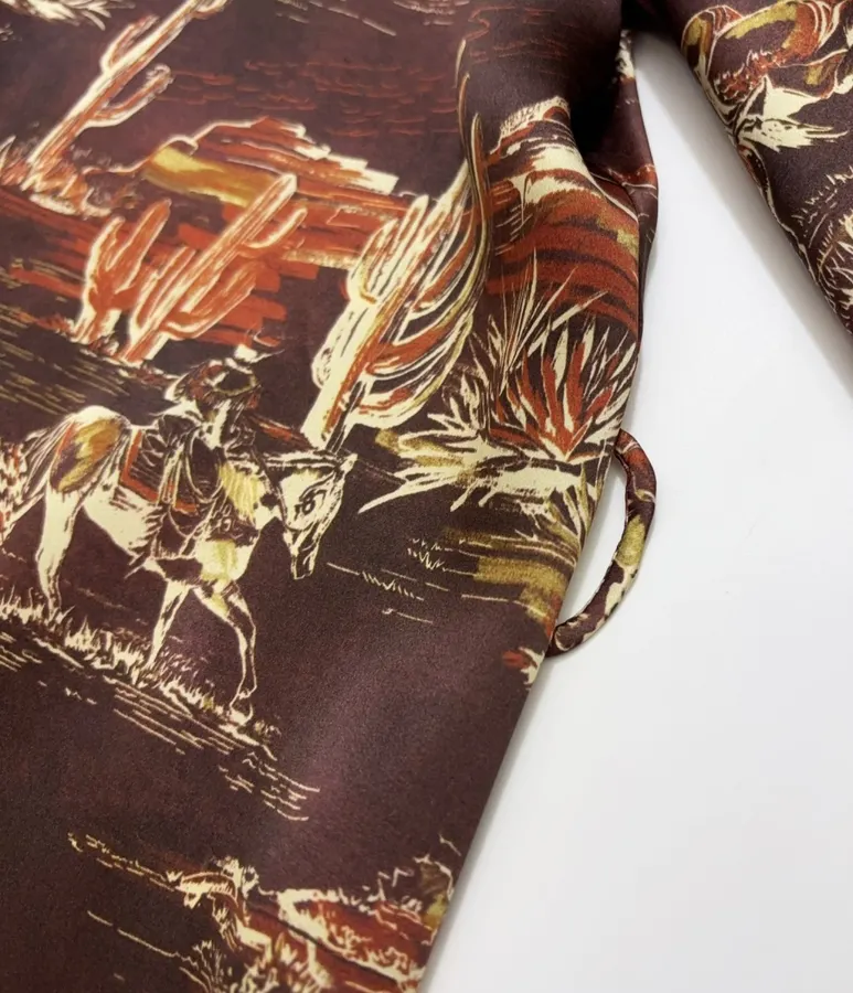 ALEMAIS Ezra Silk Midi Shirt-Style Vintage Western Landscape Print Dress in As Shown, product view 10