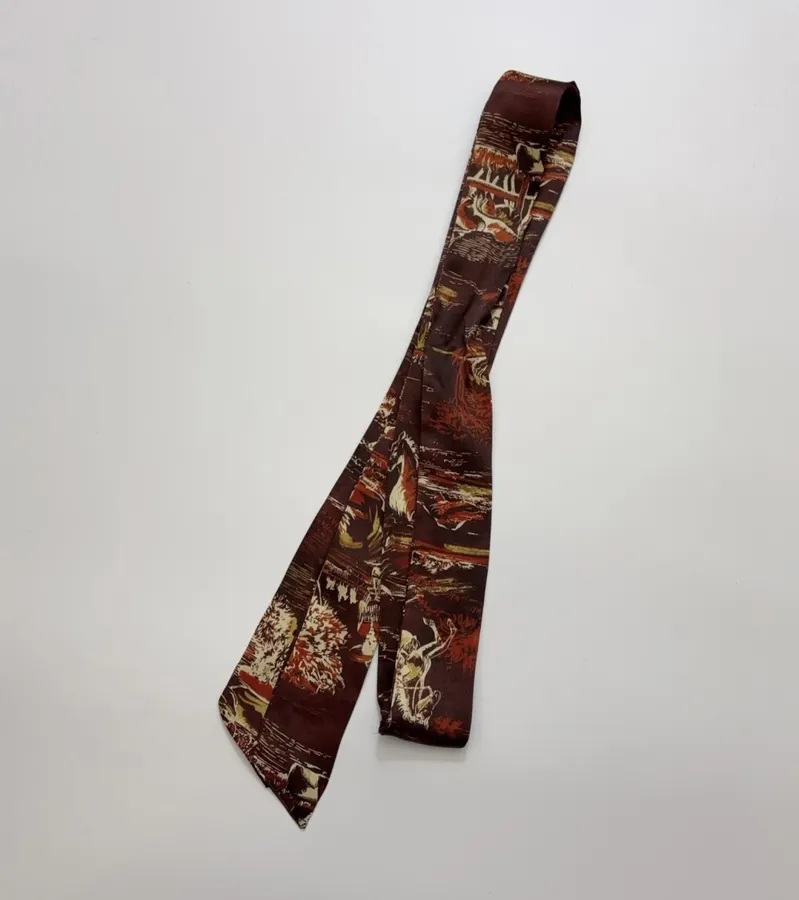 ALEMAIS Ezra Silk Midi Shirt-Style Vintage Western Landscape Print Dress in As Shown, product view 27